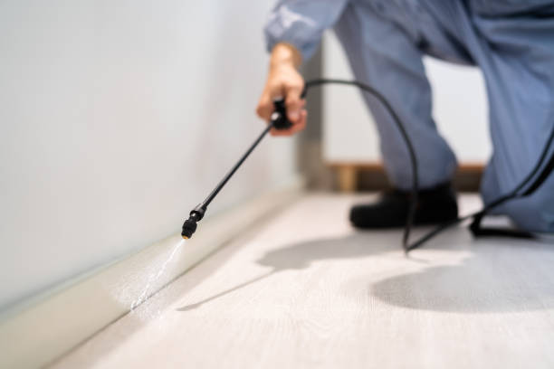 Licensed Mosquito Control service in Warrenville, IL - Show Me Pest Control