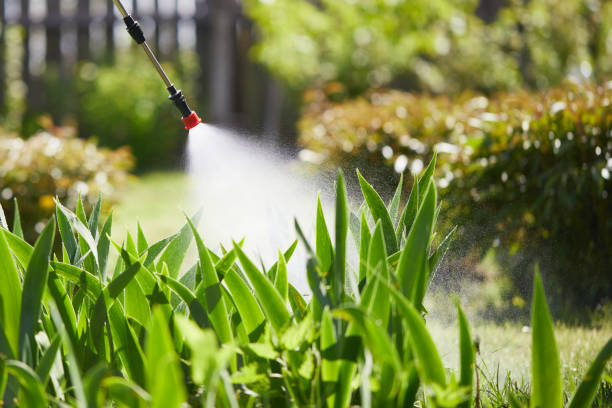 24/7 Emergency Mosquito Control experts in Warrenville, IL