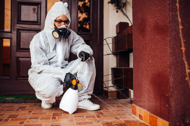 Reliable Mosquito Control contractor in Warrenville, IL by Show Me Pest Control