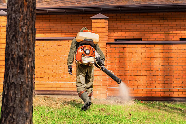 Top rated local Mosquito Control specialists in Warrenville, IL